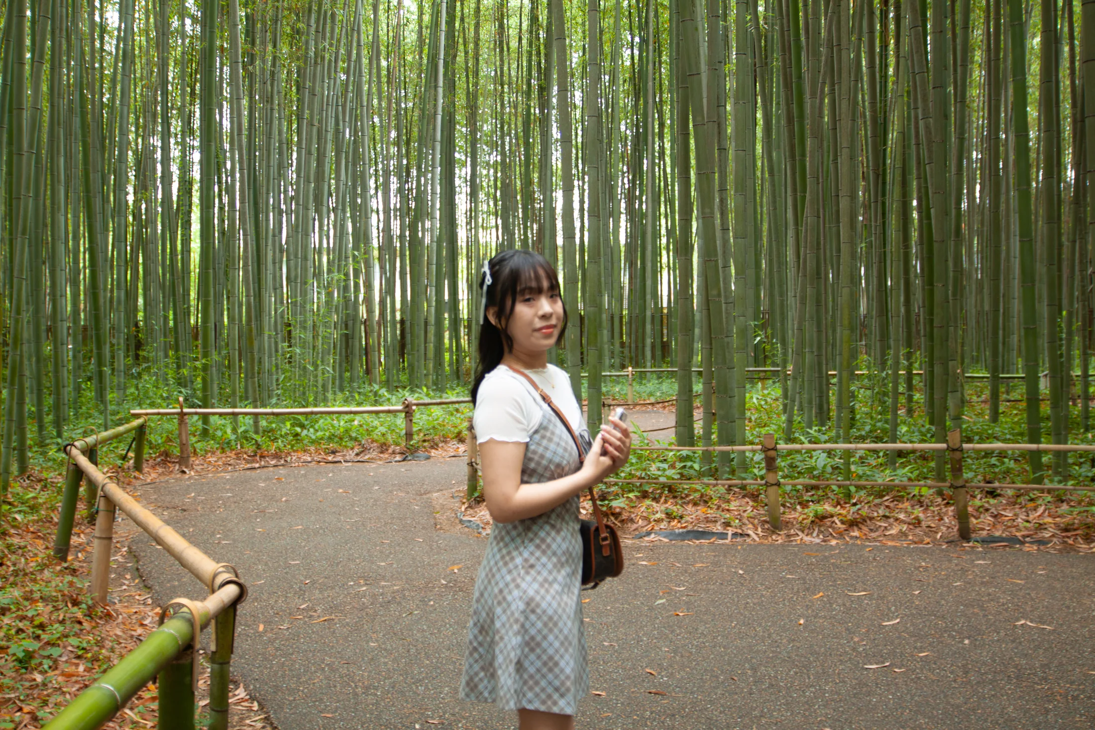 妳站在嵐山竹林間